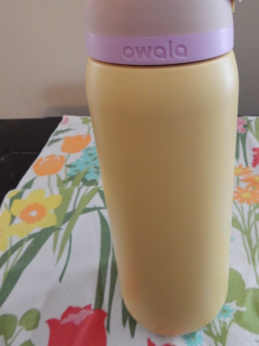 Owala water bottle